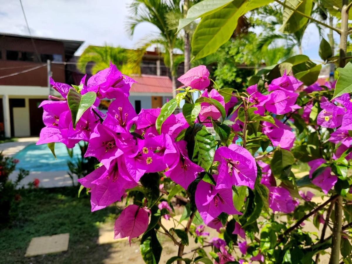 Hotel Catappa Jaco Luaran gambar